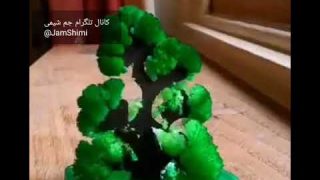 آزمایش شگفت انگیز شیمی: درخت شیمیایی