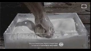 سیال غیر نیوتنی به زبان ساده