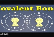 دانلود نرم افزار Covalent Bonding شبیه سازی پیوندهای کووالانسی