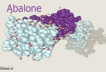 دانلود Abalone 2.1.4 نرم افزار شبیه سازی دینامیک مولکولی