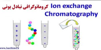 کروماتوگرافی تبادل یونی Ion-Exchange Chromatography