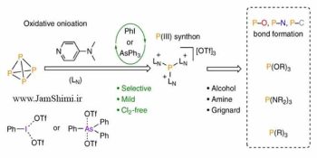 تبدیل مستقیم فسفر سفید به معرف های انتقال فسفر همه کاره