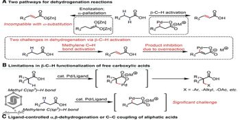 واکنشهای دهیدروژناتیو واگرا کنترلشده توسط لیگاند در اسیدهای کربوکسیلیک