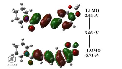 دینامیک مولکولی و شیمی کوانتومی: مطالعات روی پیپرین، یک آلکالوئید طبیعی
