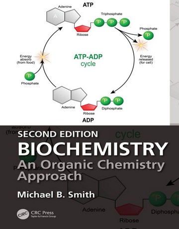 کتاب بیوشیمی: رویکردی مبتنی بر شیمی آلی ویرایش دوم 2025