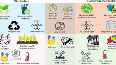 مقاله بیوپلاستیک‌ها و پلاستیک‌های زیست‌تخریب‌پذیر: مروری بر پیشرفت‌های اخیر