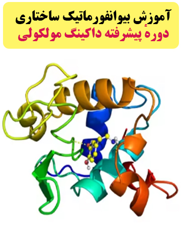 آموزش بیوانفورماتیک ساختاری: دورهٔ پیشرفته داکینگ مولکولی