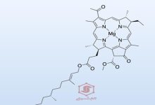 اولین سنتز کامل ماکروسیکل دارای چهار مرکز فضایی در قلب فتوسنتز باکتریایی