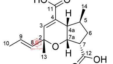 رودوپیران (Rhodopyran)