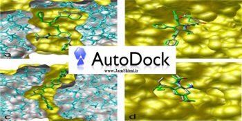 دانلود AutoDock Vina 1.2.3 + AutoDock 4.2.6 نرم افزار داکینگ مولکولی