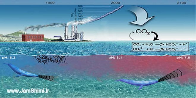 جلوگیری از اسیدی شدن آب اقیانوس ها با یک فرایند الکترو ژئوشیمیایی