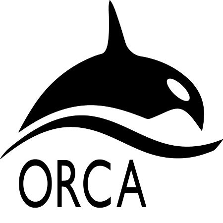دانلود ORCA 5.0.1 Linux نرم افزار شیمی کوانتومی و نظریه تابعی چگالی DFT